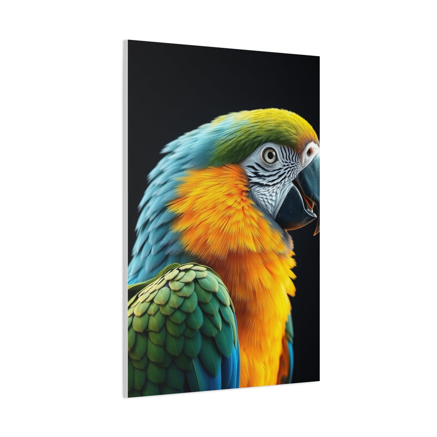 Parrot Art Luxury Canvas Wall Art & Canvas Print