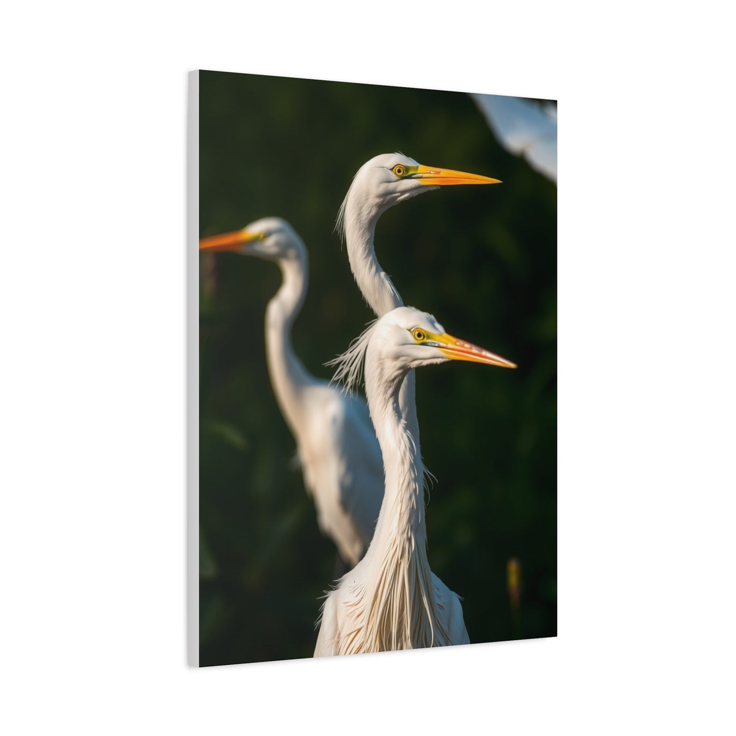 Herons and Egrets Art Supreme Gallery Wall Art & Canvas Print