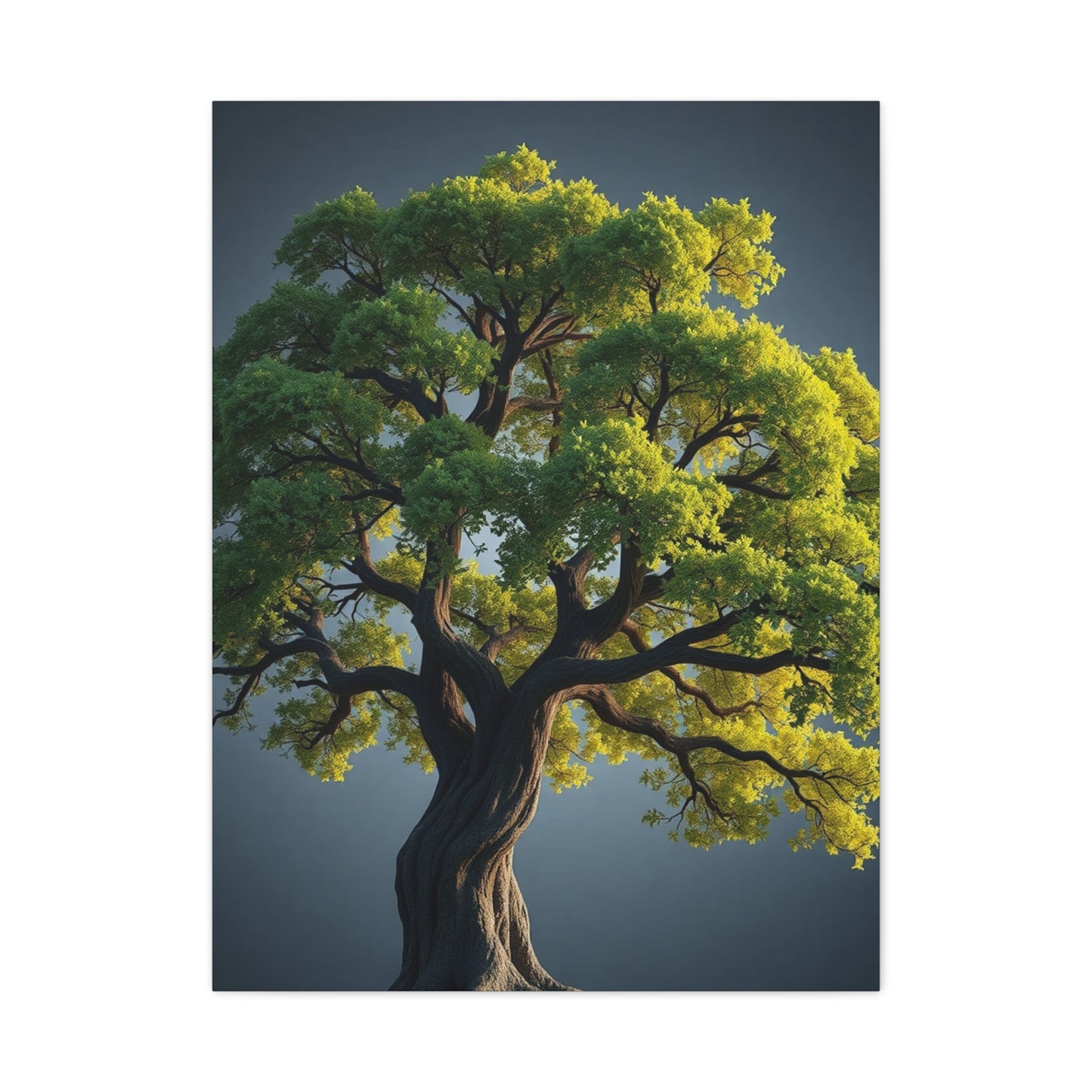Supreme Oak Tree Art Collection Wall Art & Canvas Print