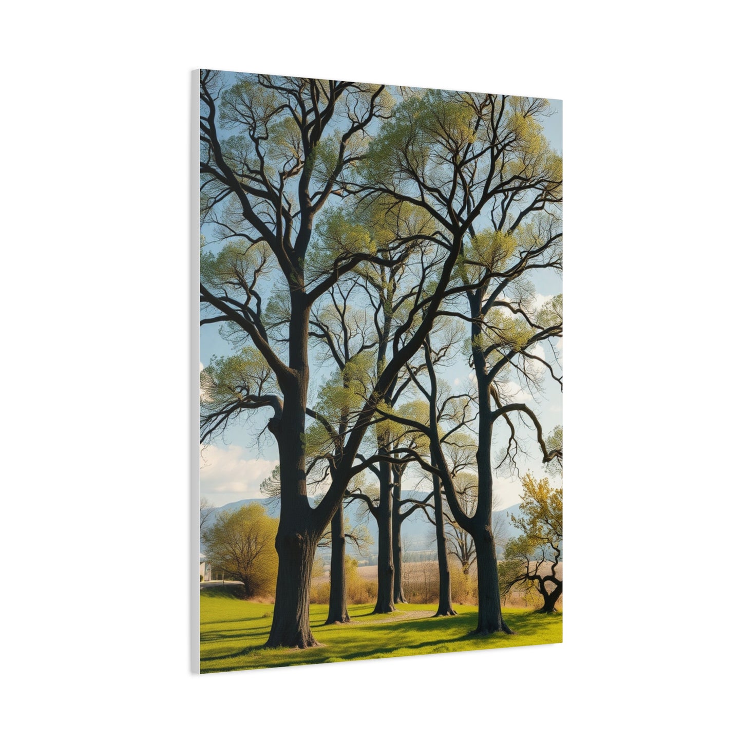 Masterpiece Trees Wall Art Vision Wall Art & Canvas Print