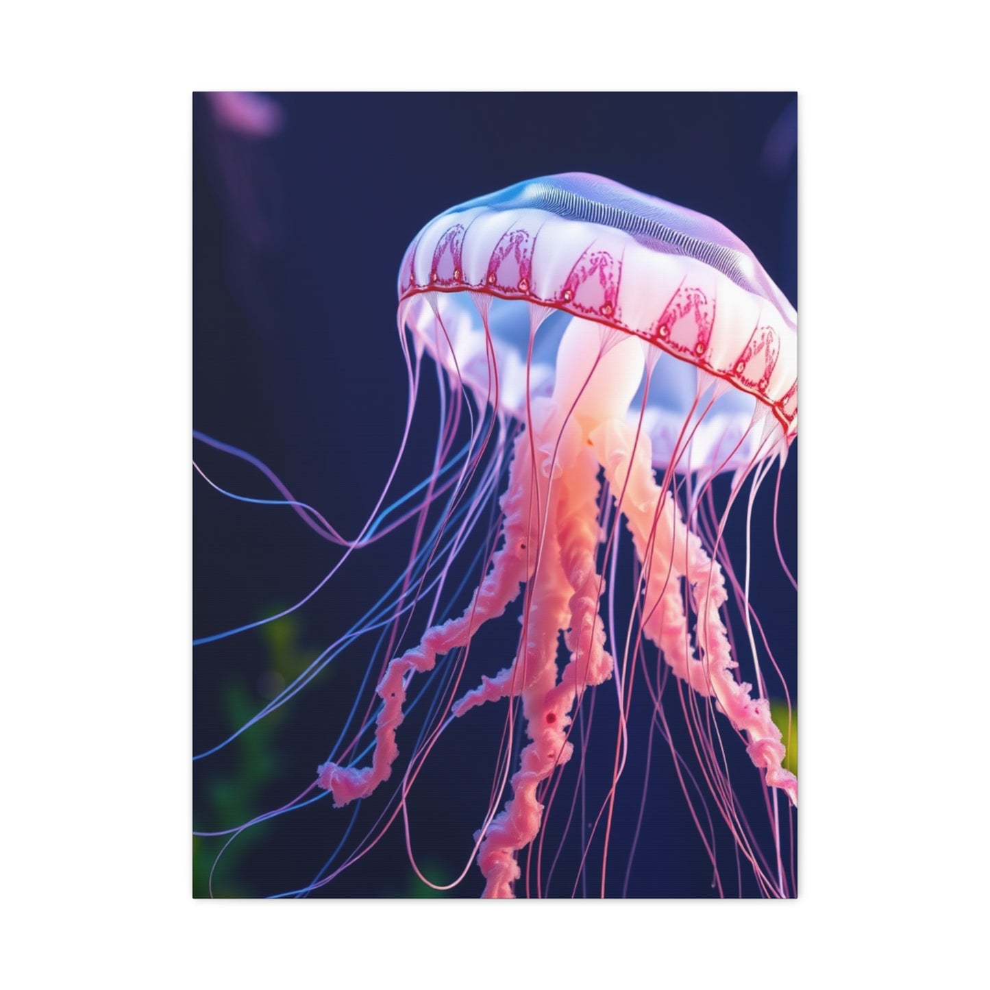 Jellyfish Art Supreme Gallery Wall Art & Canvas Print