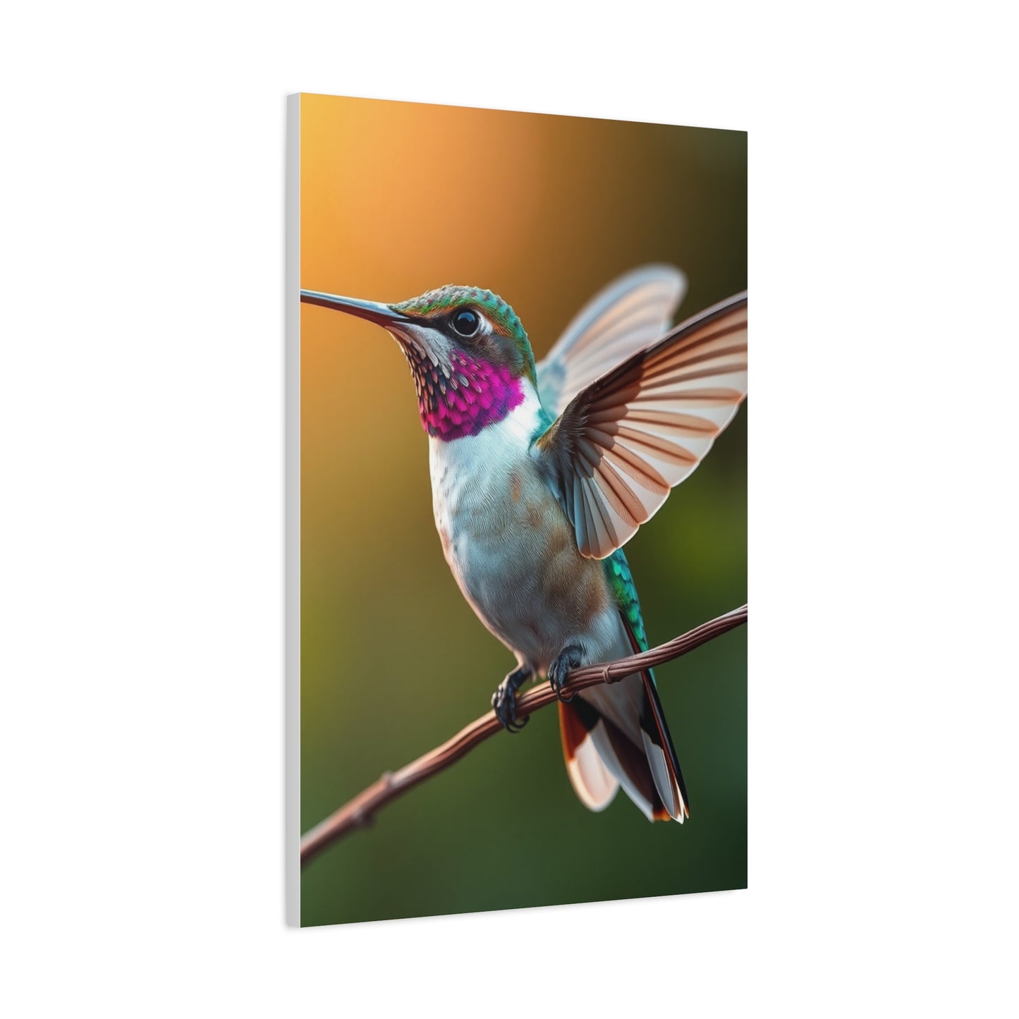 Humming Bird Art Supreme Gallery Wall Art & Canvas Print