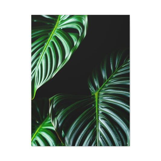 Collection Monstera Plant Art Art Wall Art & Canvas Print