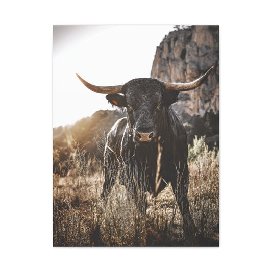 Mountain Cliff Bull Portrait Wall Art & Canvas Print