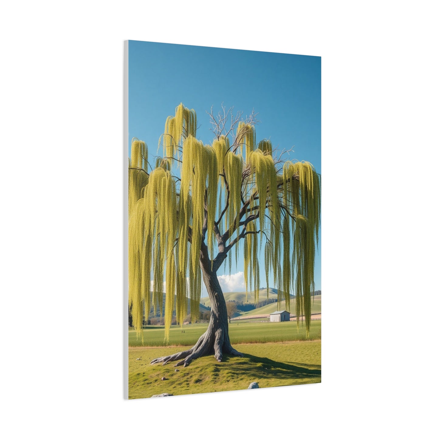 Elite Willow Tree Art Vision Wall Art & Canvas Print