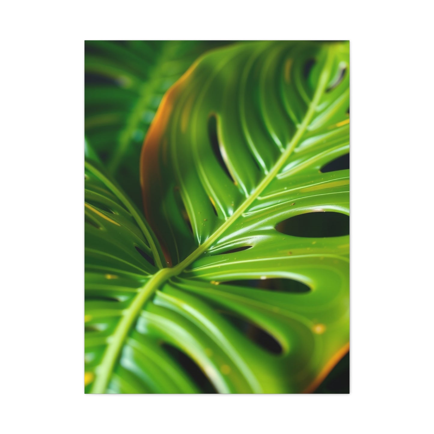 Supreme Monstera Plant Art Collection Wall Art & Canvas Print