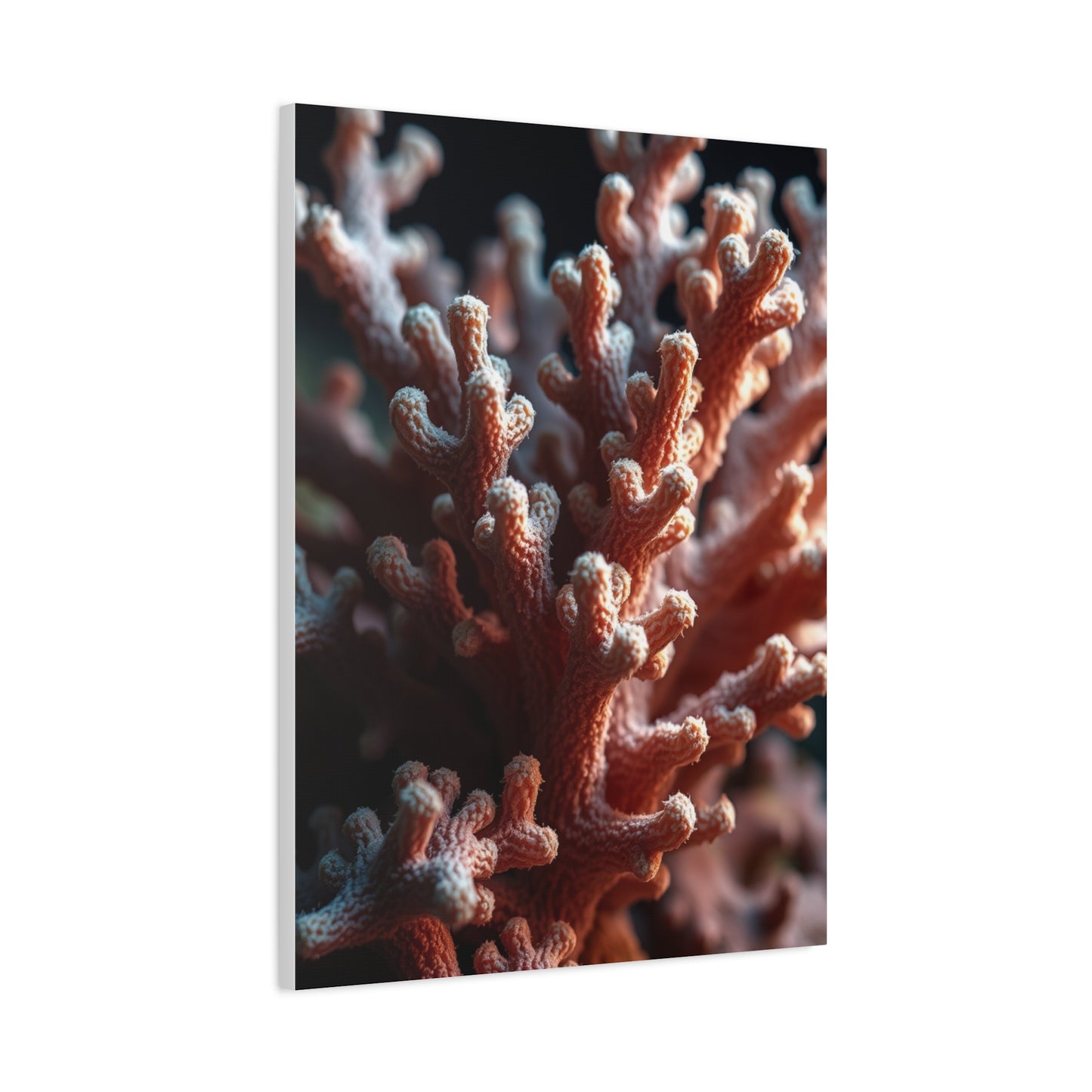 Coral Art Luxury Canvas Wall Art & Canvas Print