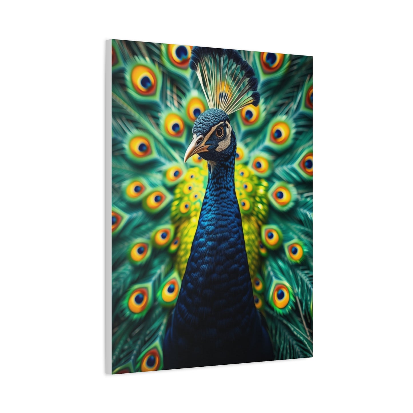 Supreme Peacock Art Collection Wall Art & Canvas Print
