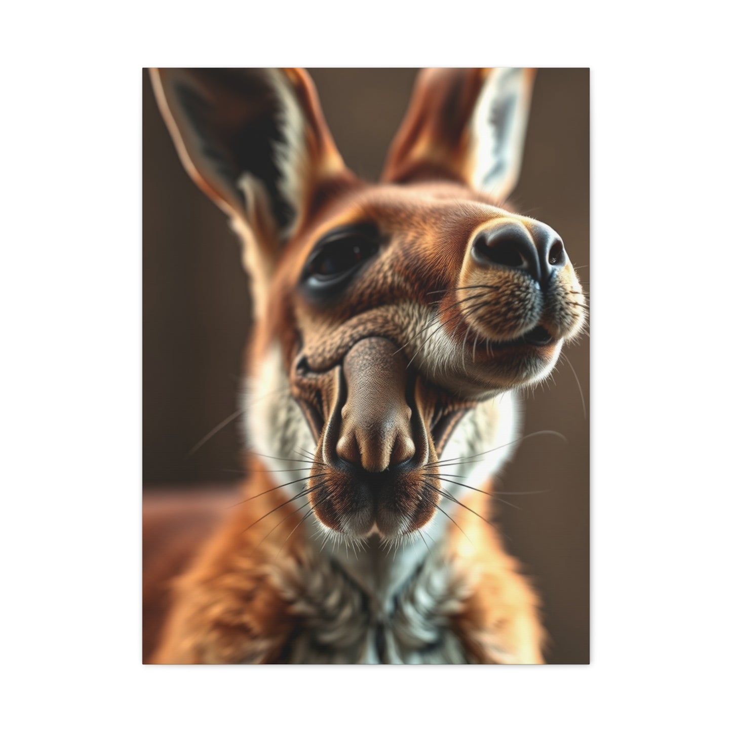 Supreme Kangaroo Art Collection Wall Art & Canvas Print