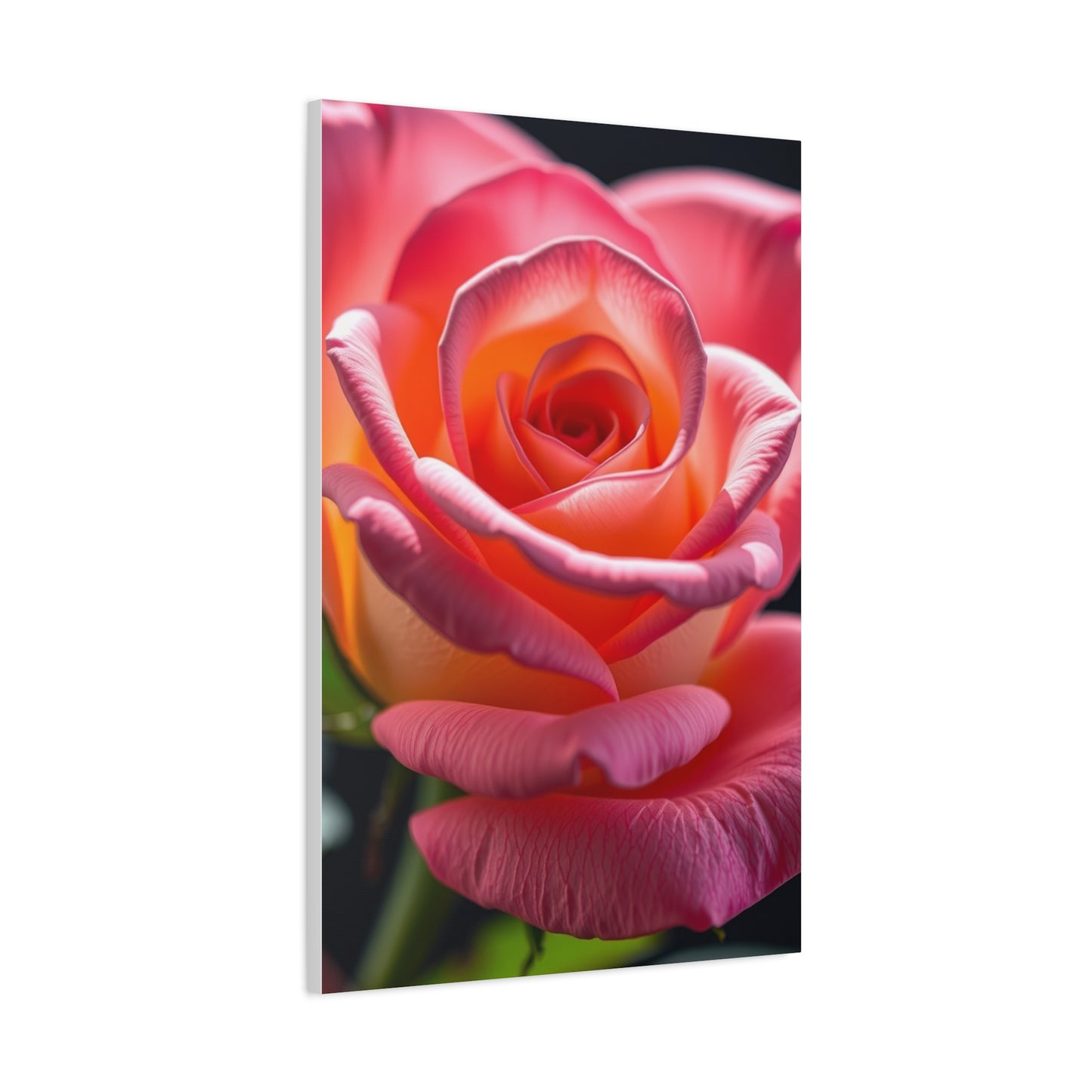 Rose Flower Art Supreme Gallery Wall Art & Canvas Print
