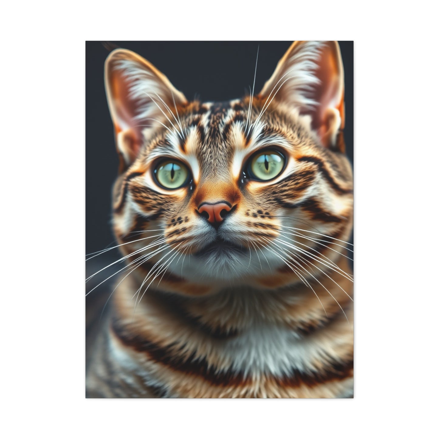 Tabby Cat Art Luxury Canvas Wall Art & Canvas Print