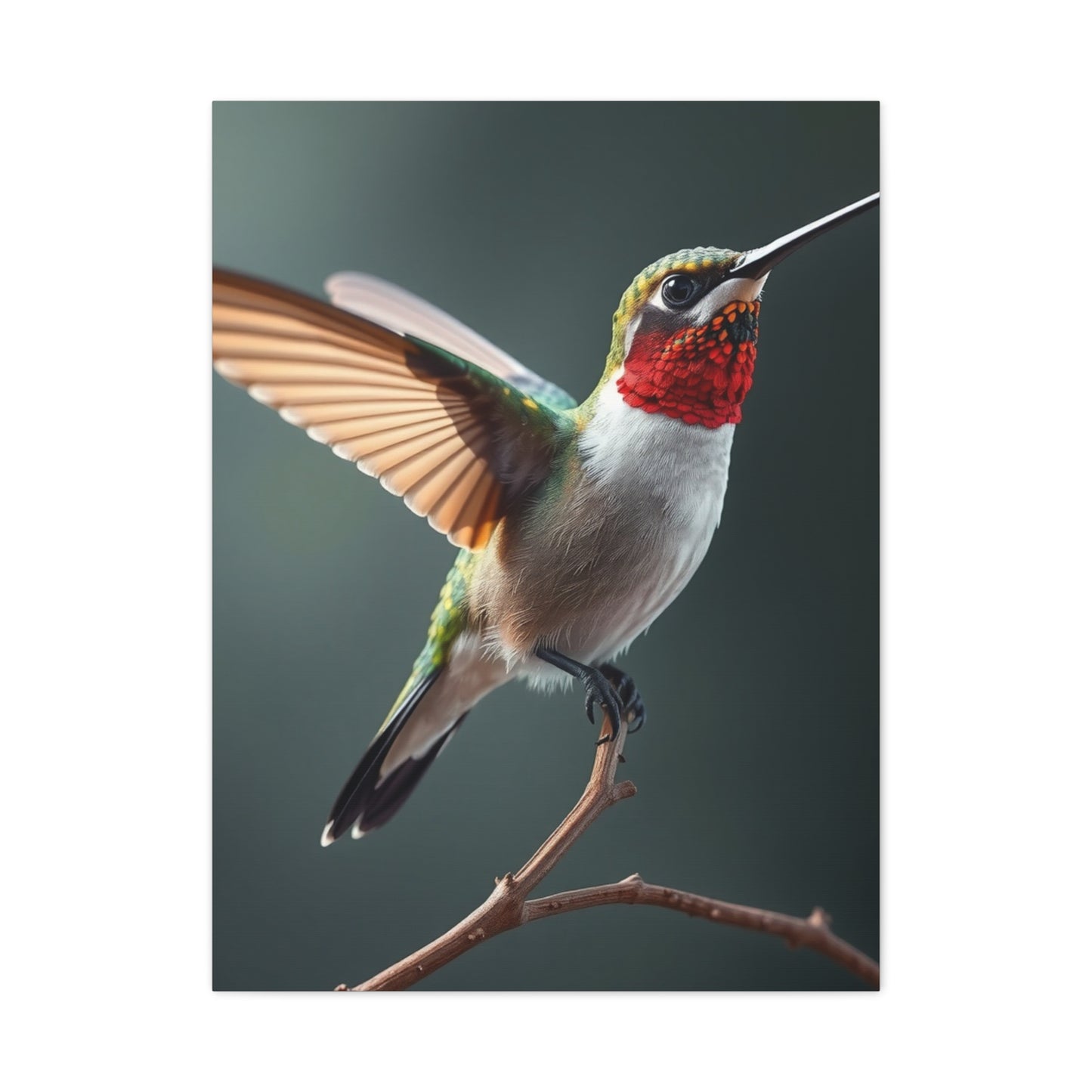 Supreme Humming Bird Art Collection Wall Art & Canvas Print