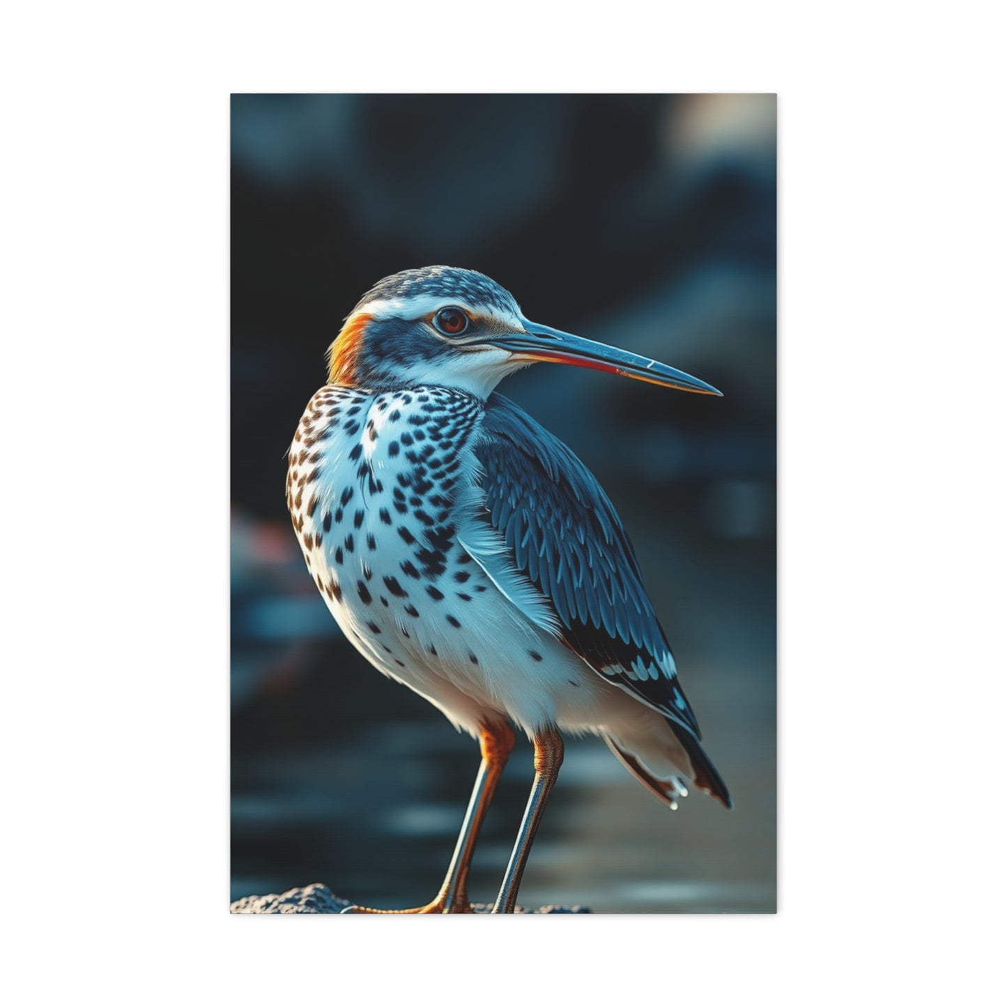 Masterpiece Sandpiper Art Vision Wall Art & Canvas Print