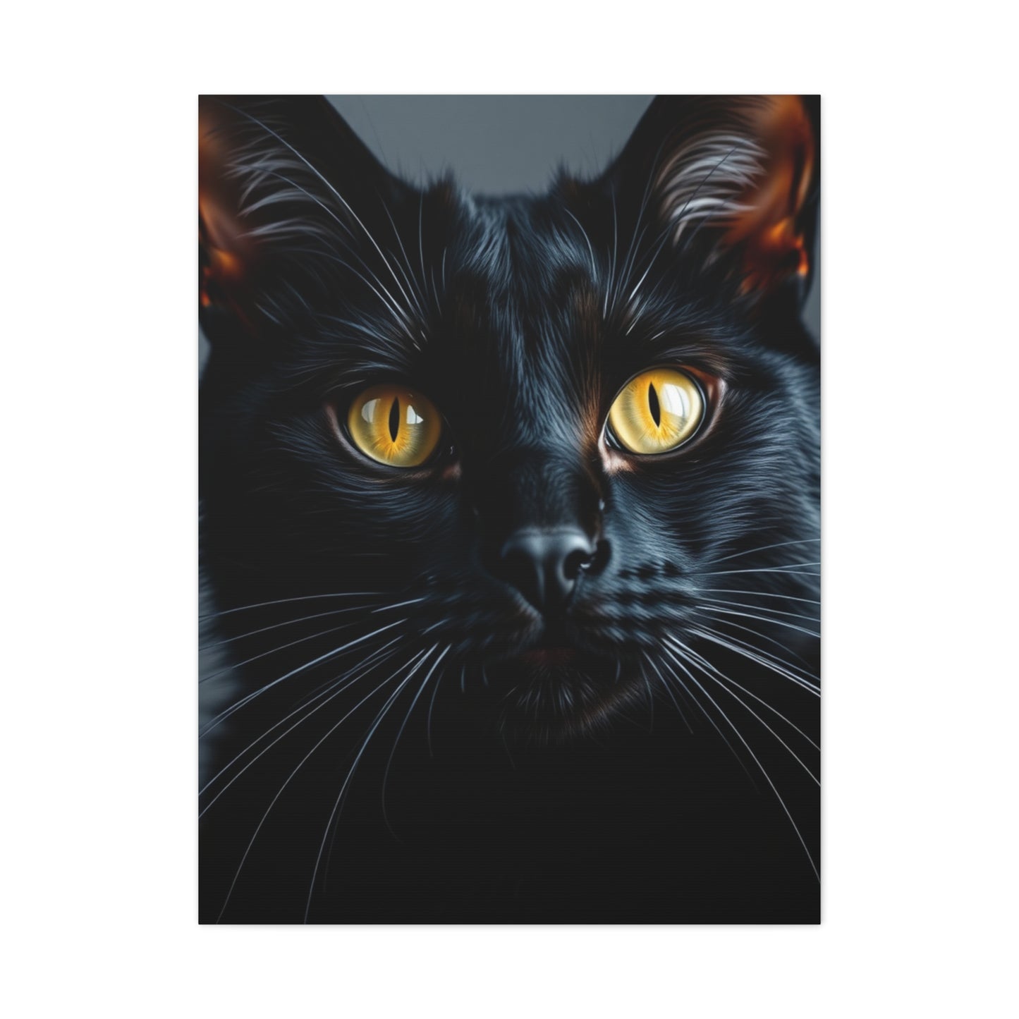 Supreme Black Cat Art Collection Wall Art & Canvas Print