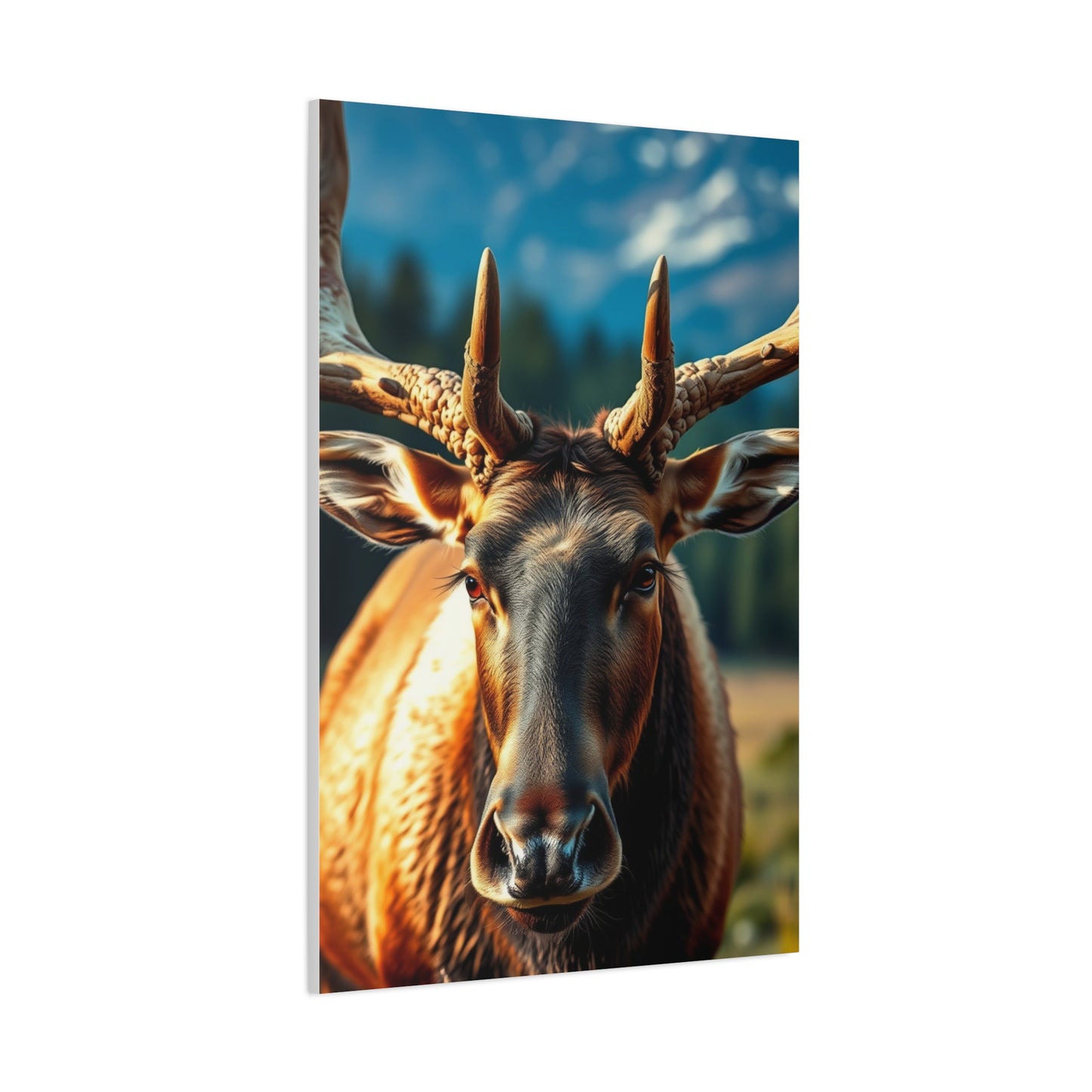 Supreme Elk Art Collection Wall Art & Canvas Print