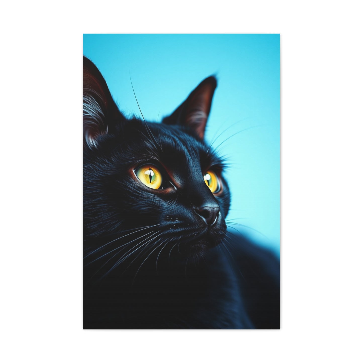 Supreme Black Cat Art Collection Wall Art & Canvas Print