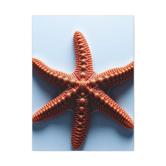 Starfish Art Supreme Gallery Wall Art & Canvas Print