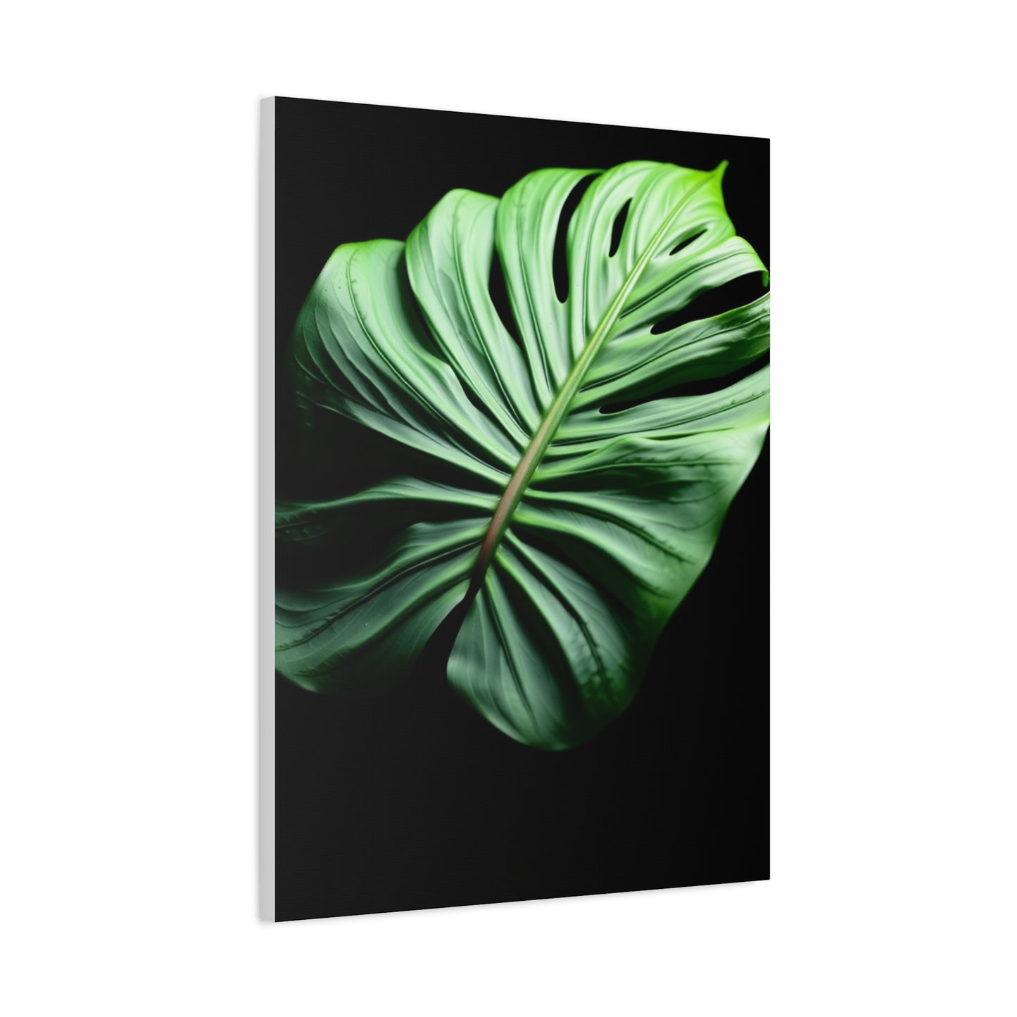 Monstera Plant Art Supreme Gallery Wall Art & Canvas Print
