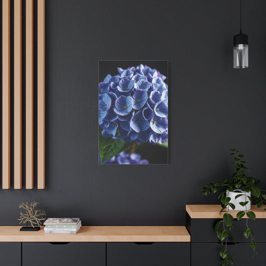 Hydrangea Flower Art Supreme Gallery Wall Art & Canvas Print