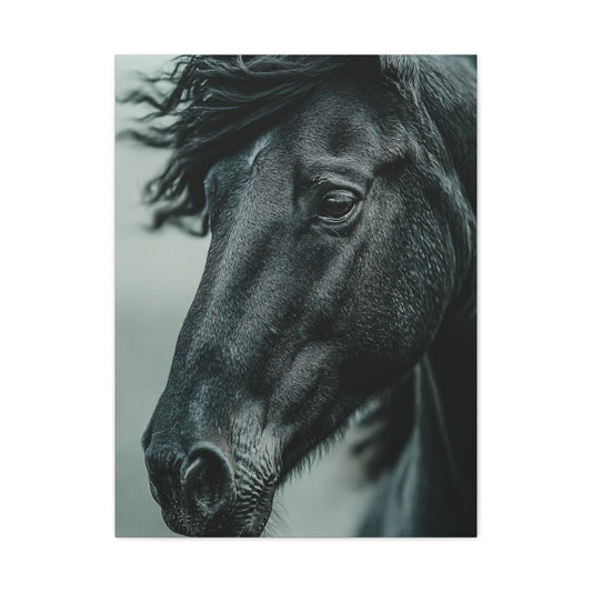 Black Stallion Close Portrait Wall Art & Canvas Print