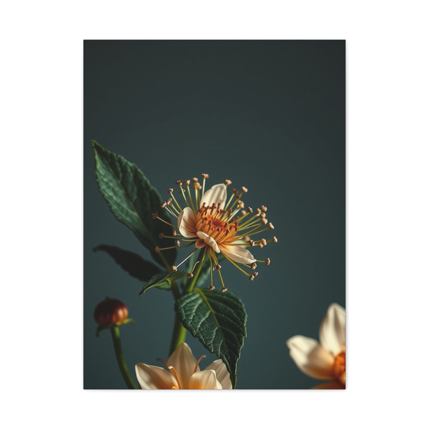 Supreme Flowers and Botanicals Art Collection Wall Art & Canvas Print