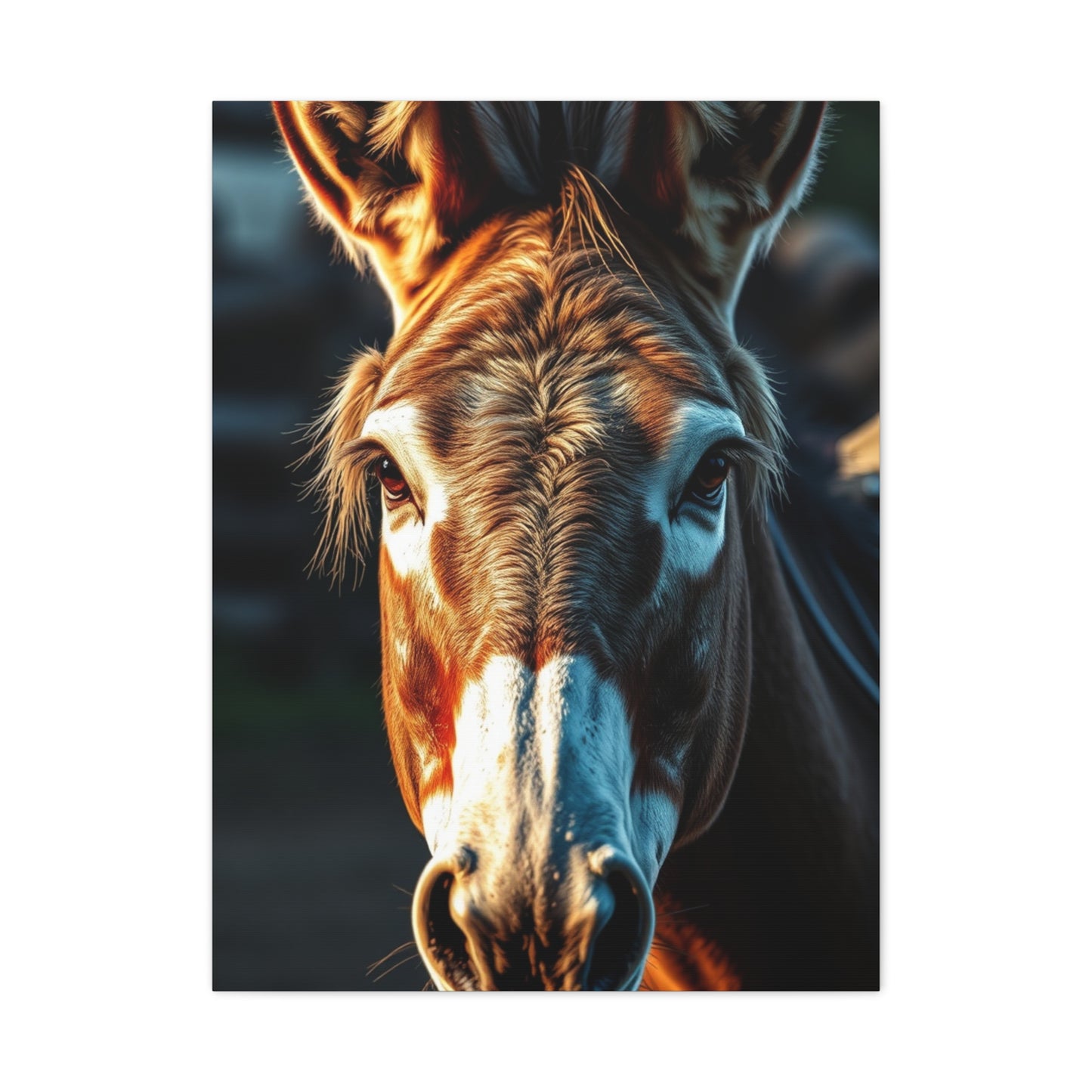 Collection Donkey Art Art Wall Art & Canvas Print