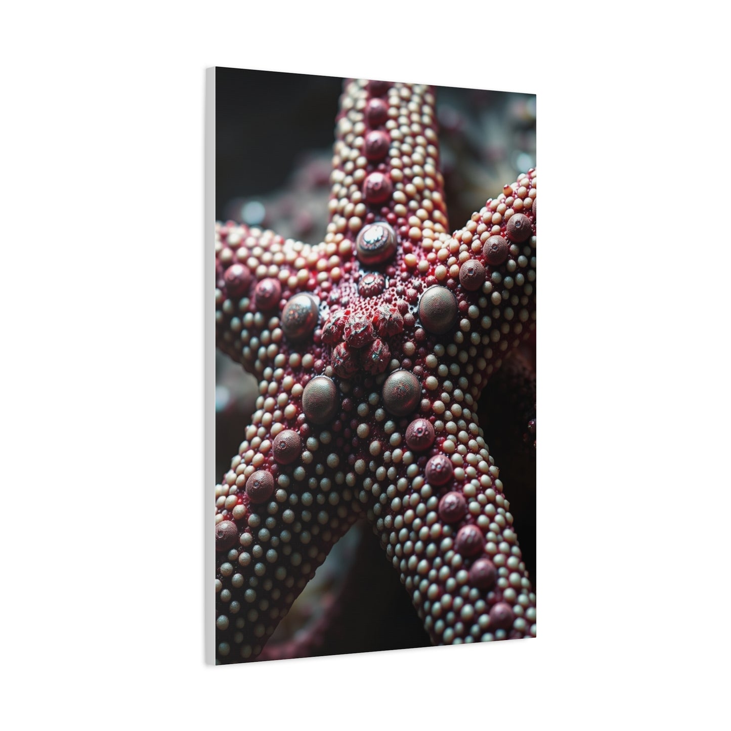 Starfish Art Luxury Canvas Wall Art & Canvas Print