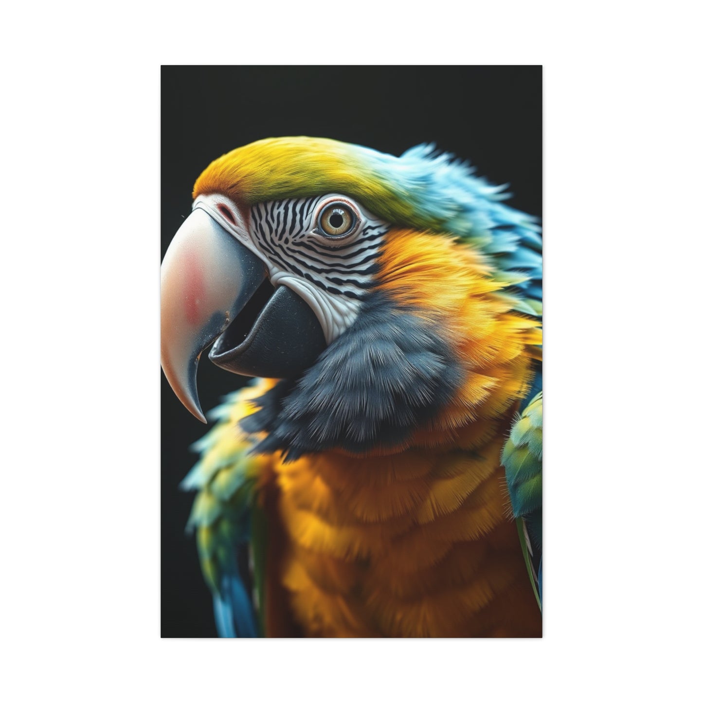 Parrot Art Refined Canvas Wall Art & Canvas Print