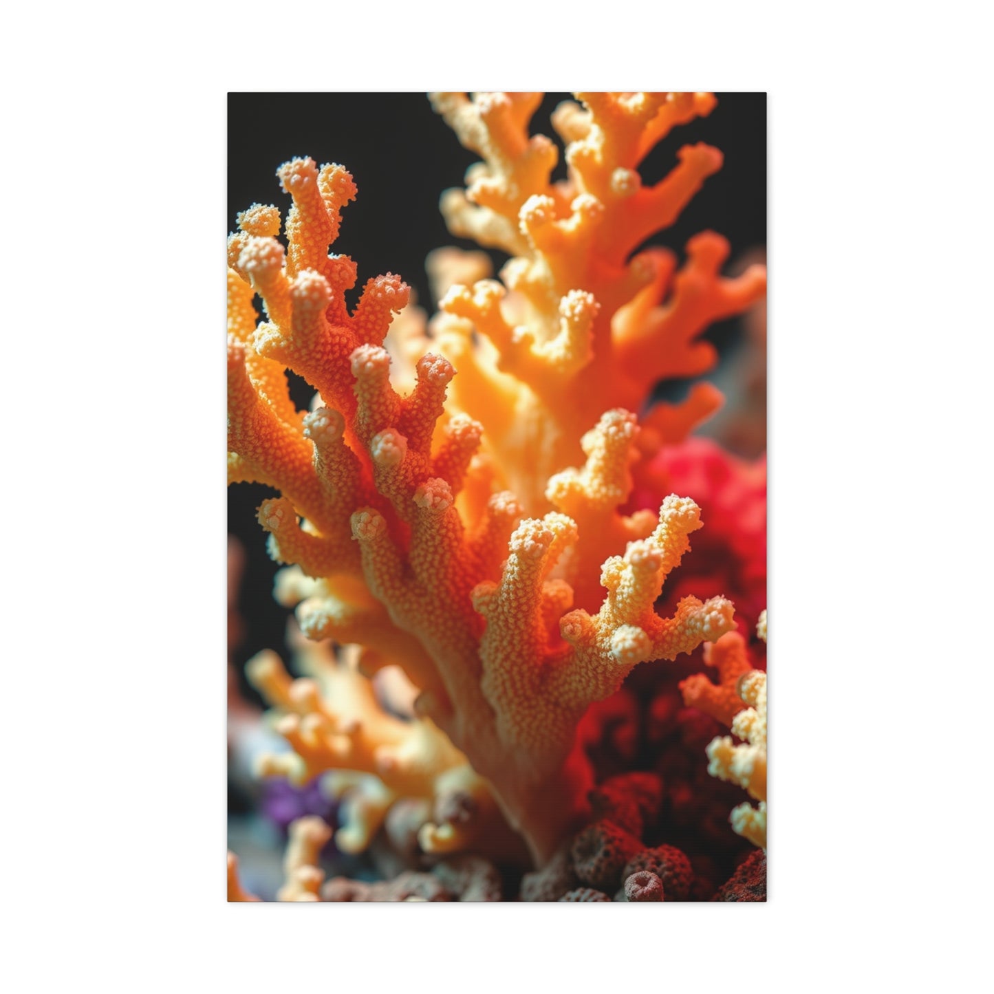 Elite Coral Art Vision Wall Art & Canvas Print