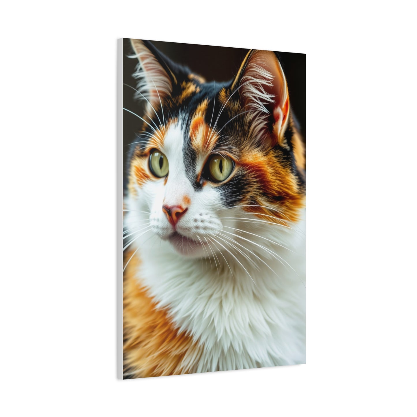 Elite Calico Cat Art Vision Wall Art & Canvas Print