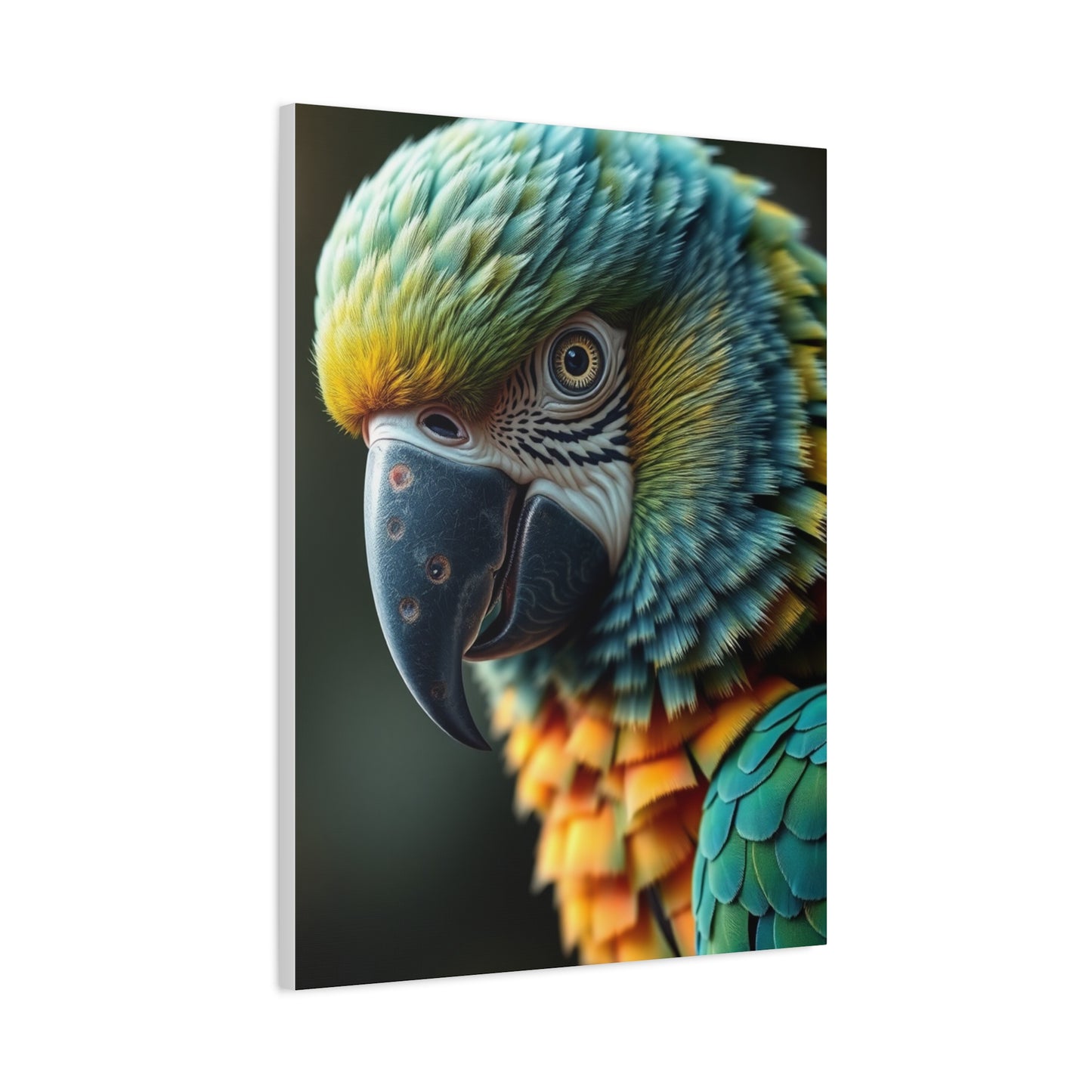 Supreme Parrot Art Collection Wall Art & Canvas Print