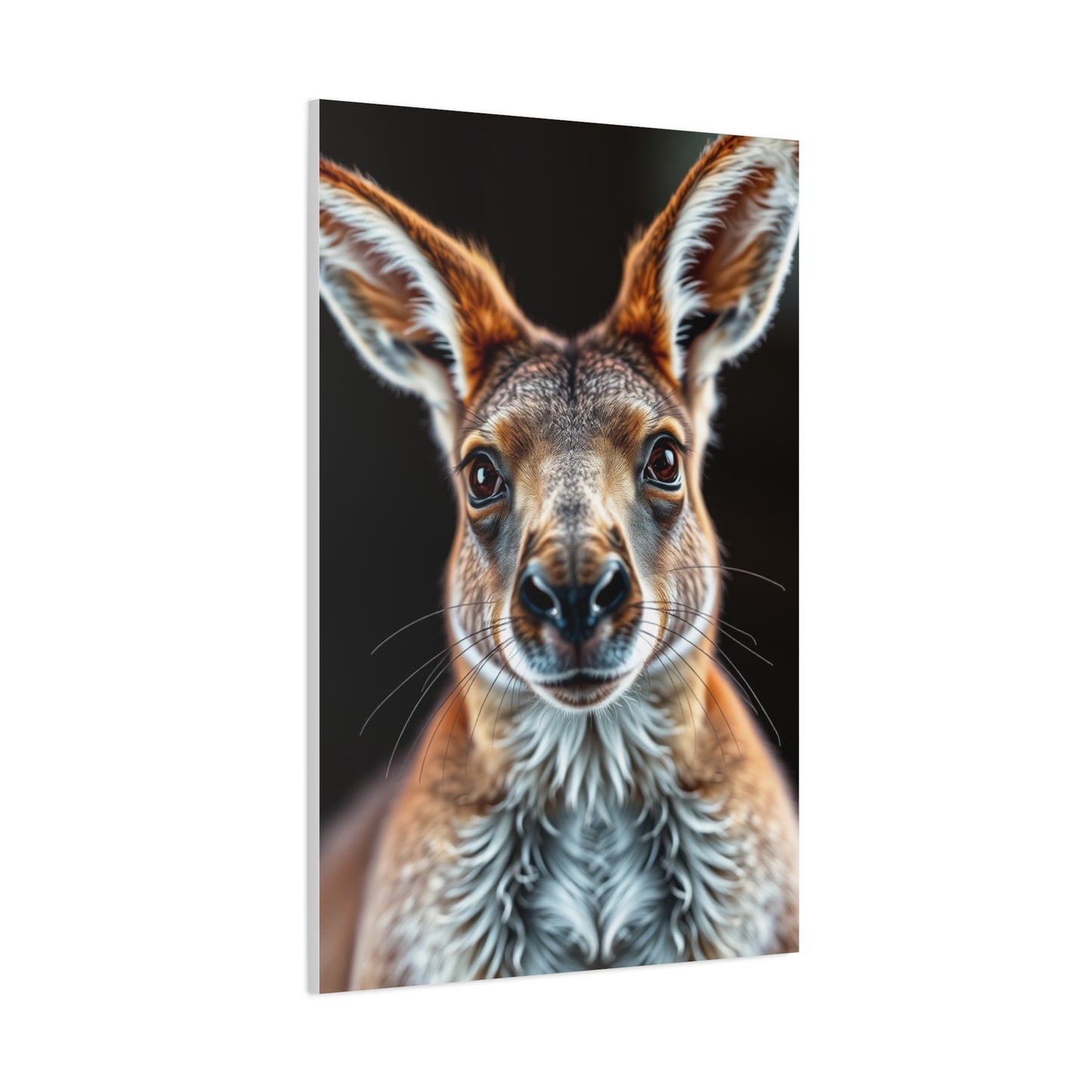 Kangaroo Art Supreme Gallery Wall Art & Canvas Print