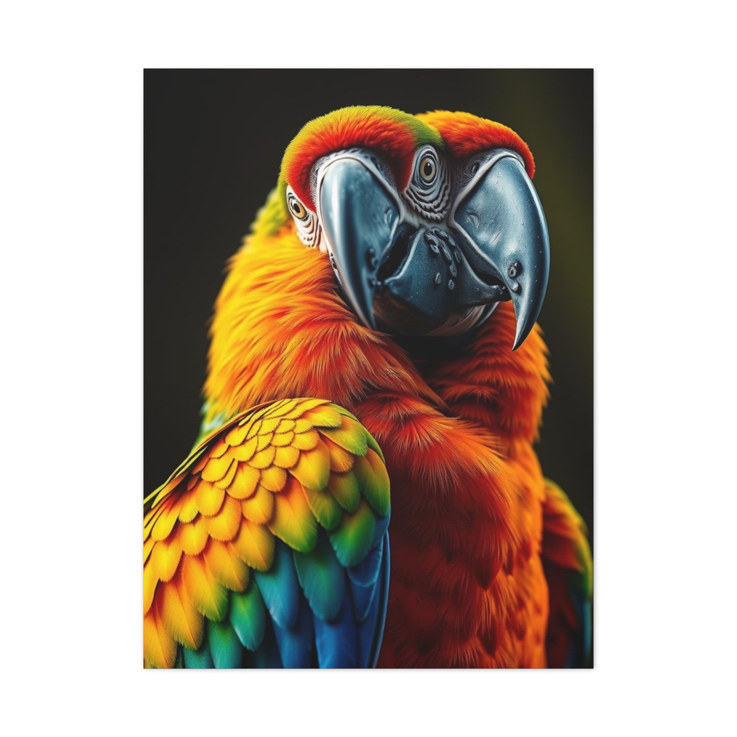 Supreme Parrot Art Collection Wall Art & Canvas Print