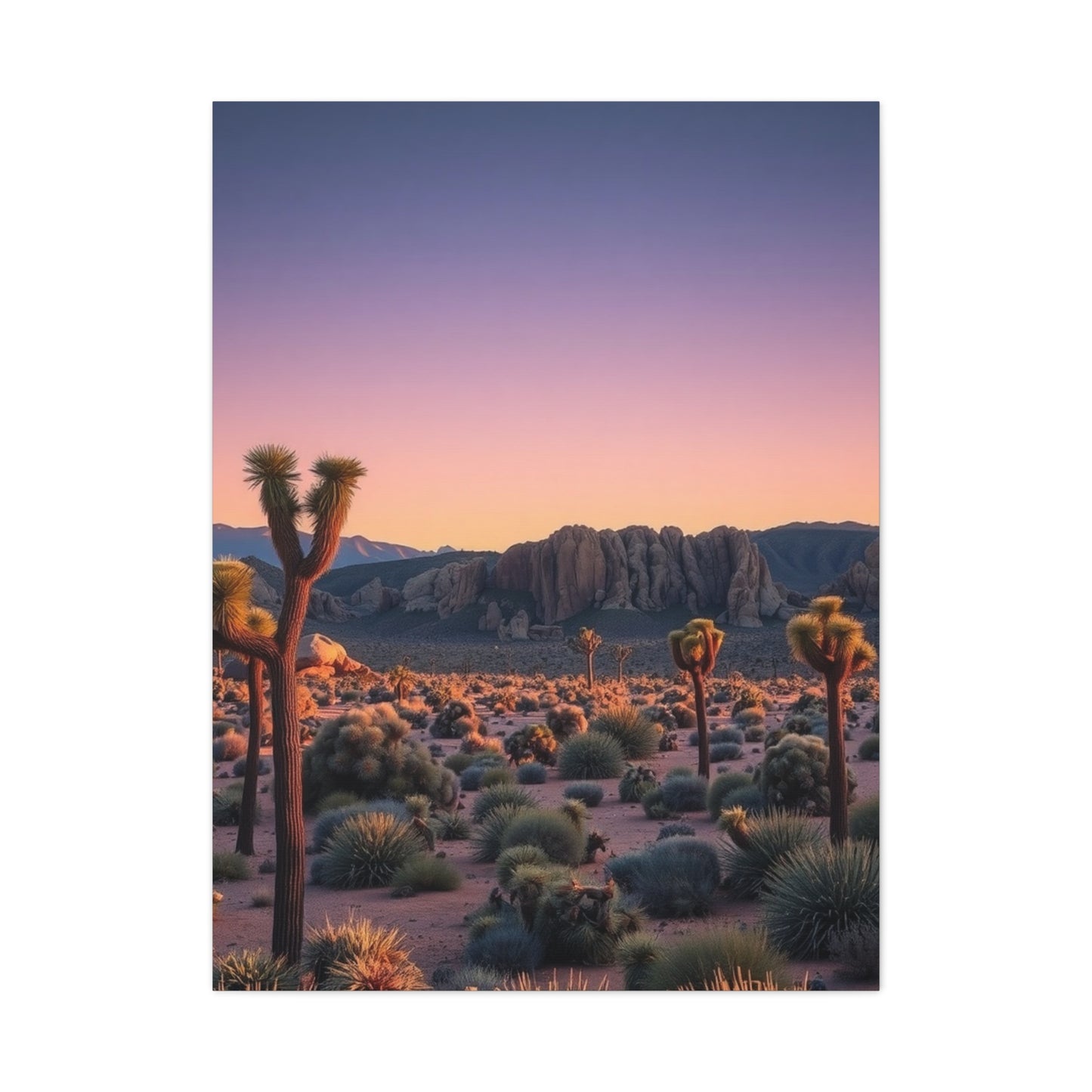Joshua Tree National Park Art Supreme Gallery Wall Art & Canvas Print