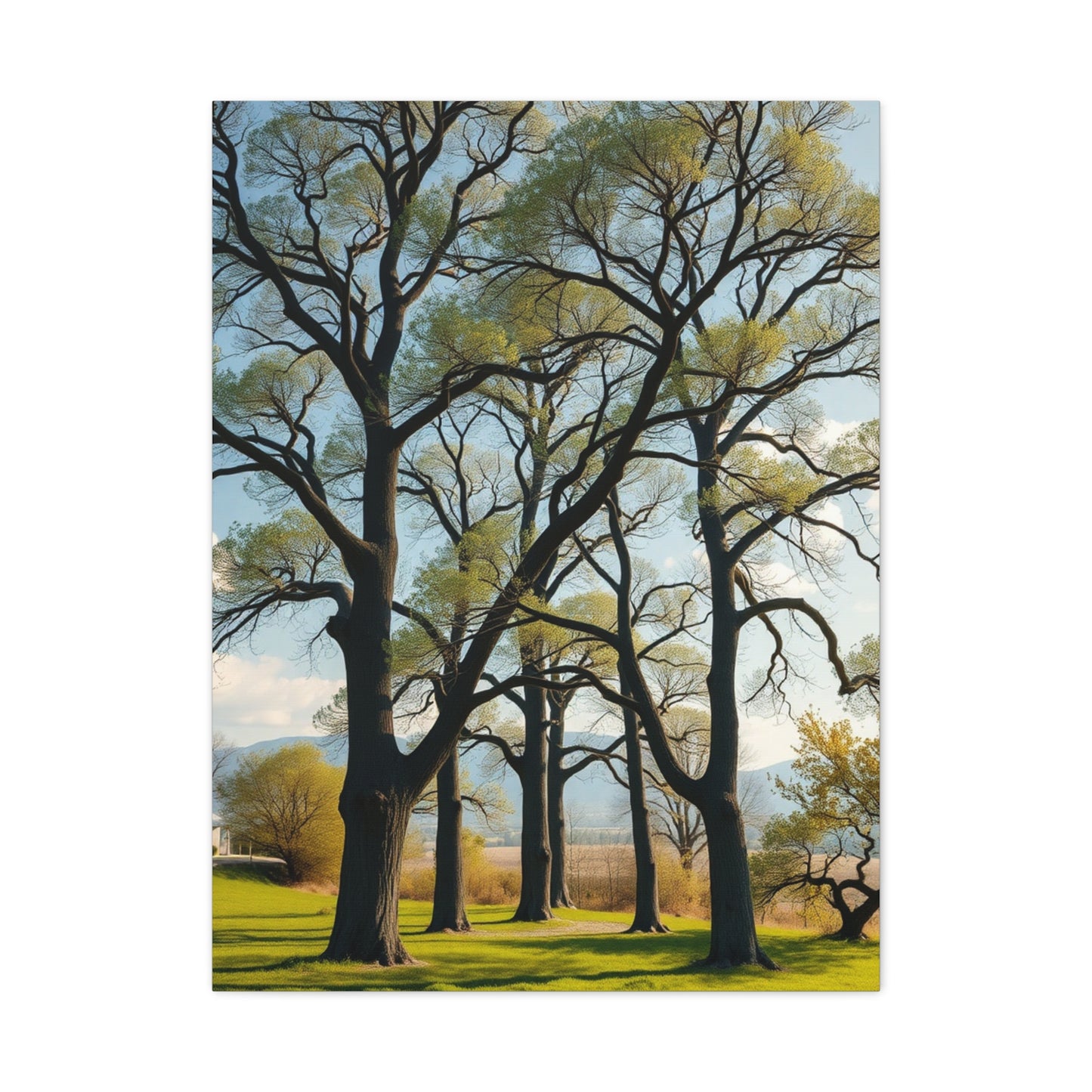 Masterpiece Trees Wall Art Vision Wall Art & Canvas Print