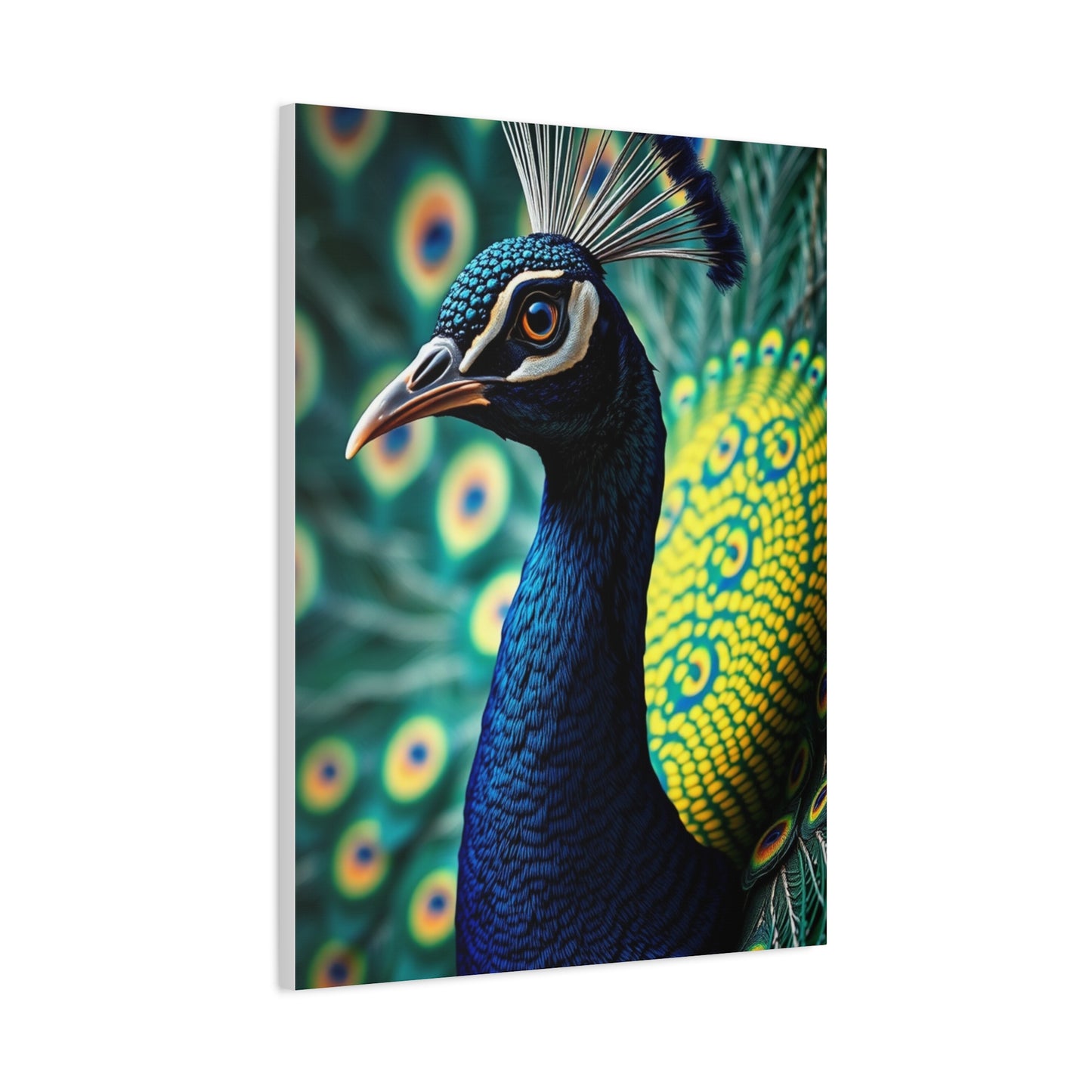 Elite Peacock Art Vision Wall Art & Canvas Print