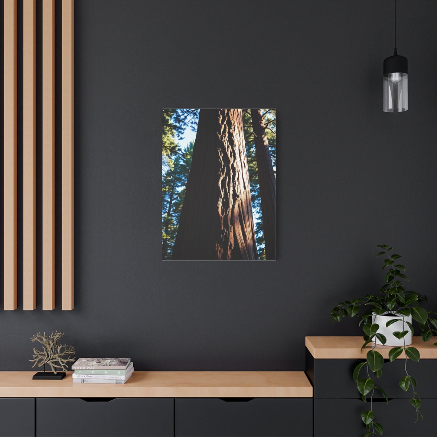 Redwood Tree Art Luxury Canvas Wall Art & Canvas Print
