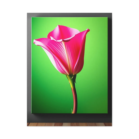 Masterpiece Green & Pink Canvas Art Vision Wall Art & Canvas Print