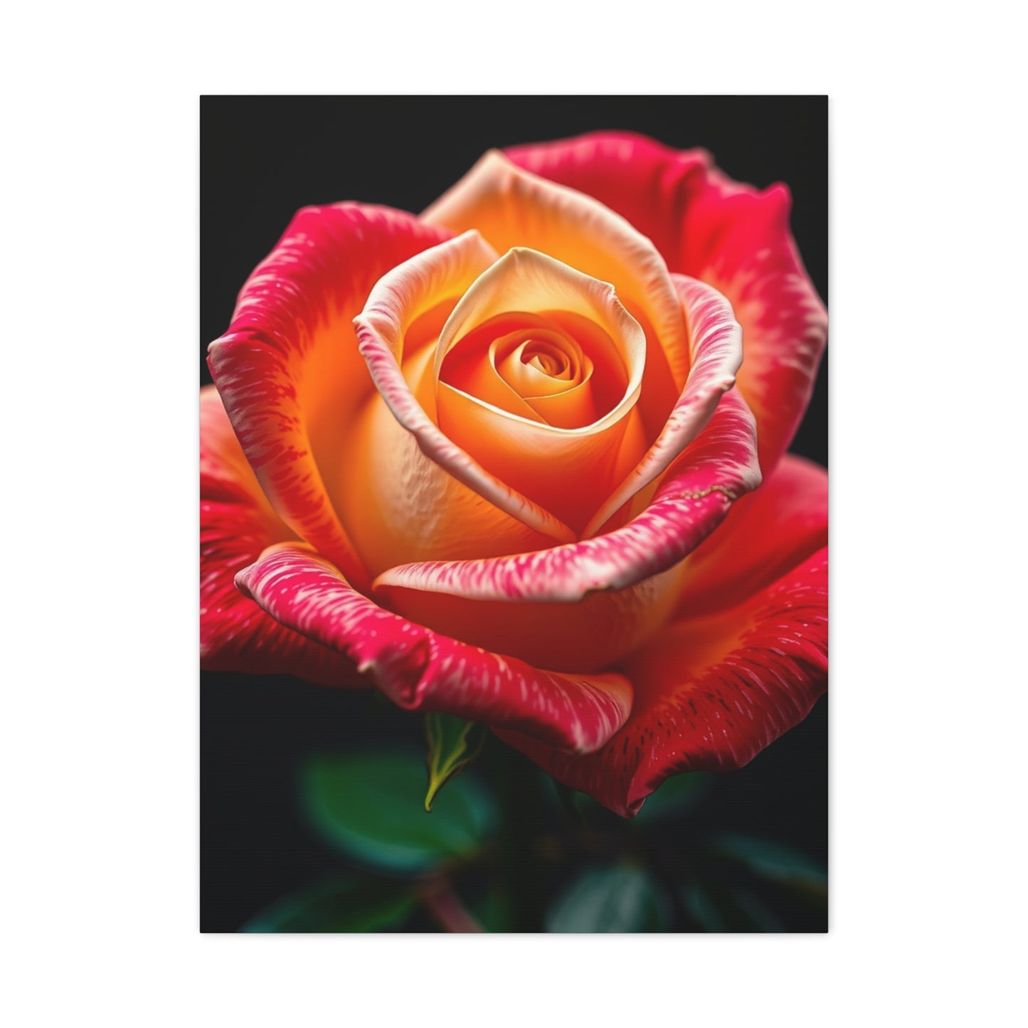 Supreme Rose Art Collection Wall Art & Canvas Print