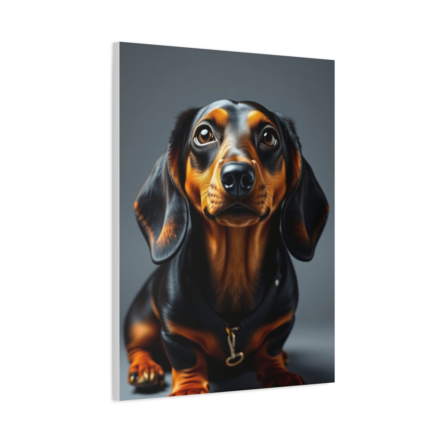 Dachshund Art Supreme Gallery Wall Art & Canvas Print