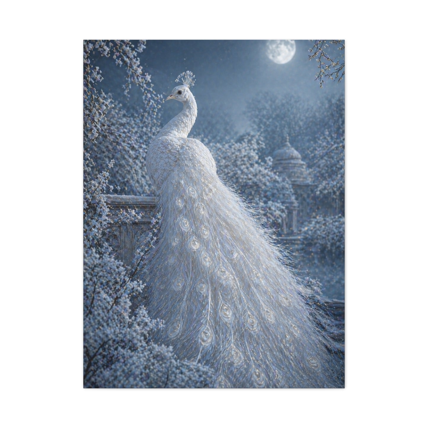 Snowy Moonlit White Peacock Wall Art & Canvas Print