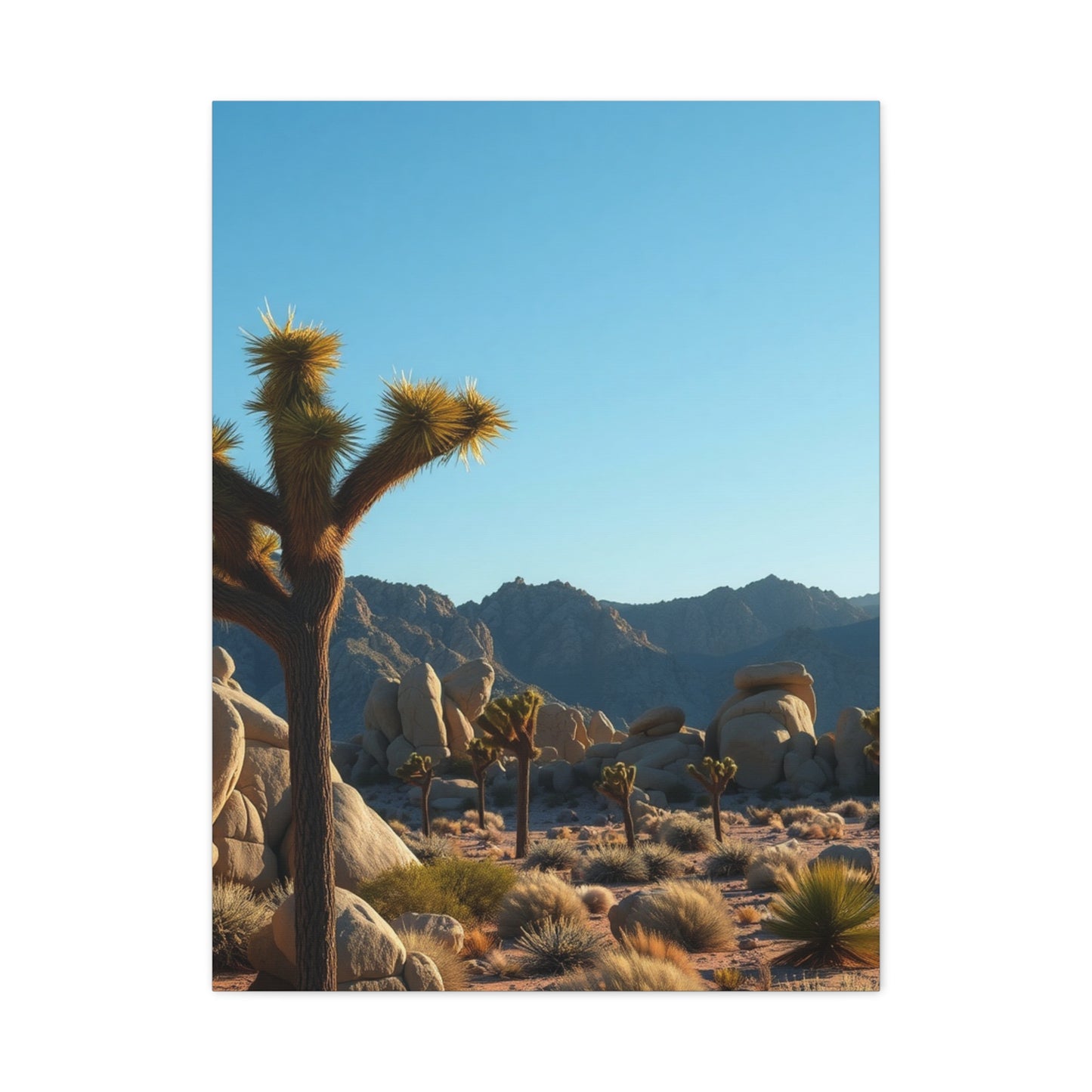 Supreme Joshua Tree National Park Art Collection Wall Art & Canvas Print