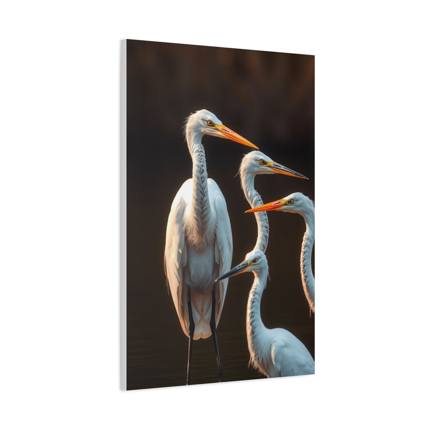 Elite Herons and Egrets Art Vision Wall Art & Canvas Print