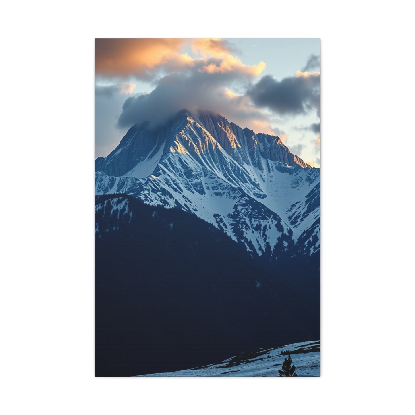 Timeless Horizon Gallery