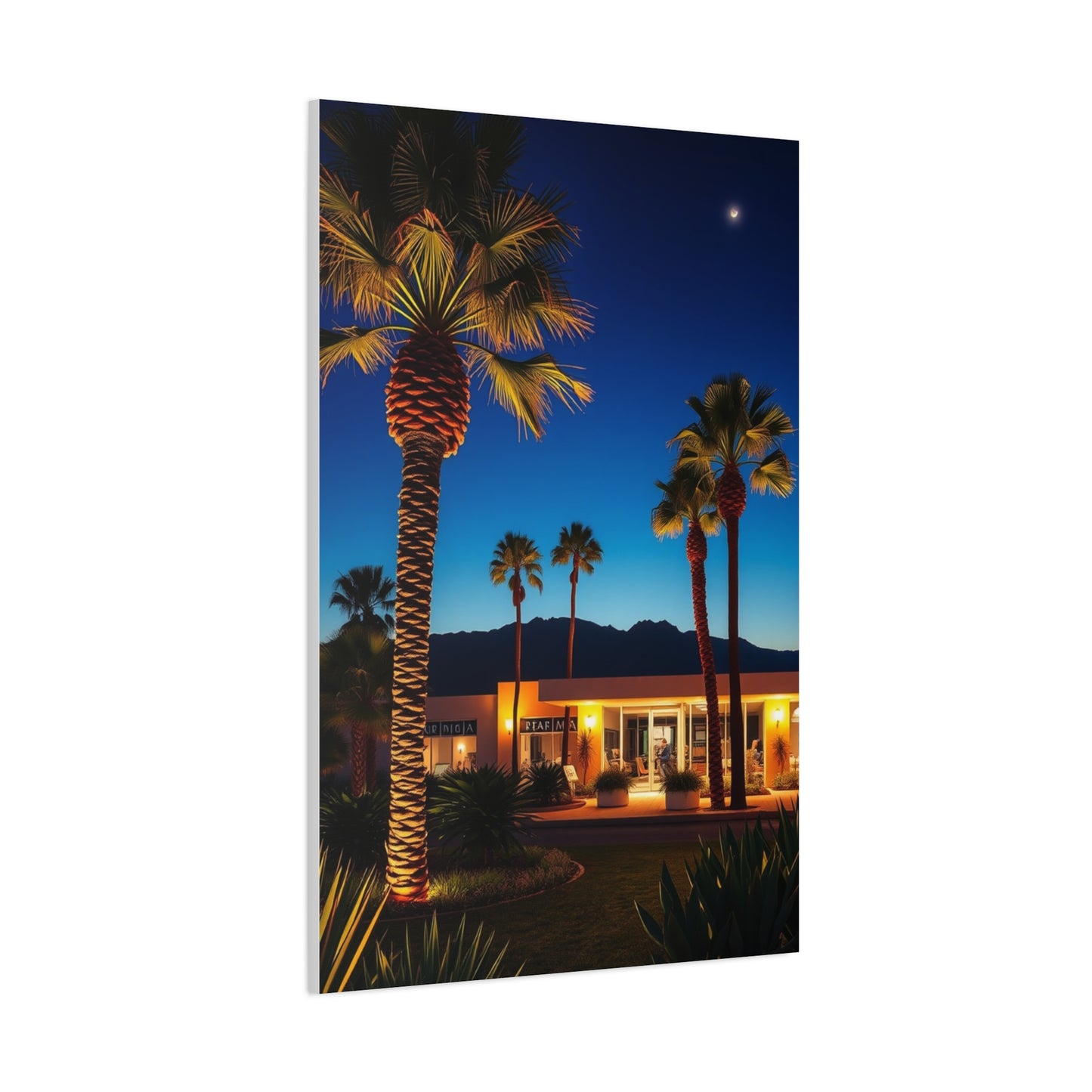 Palm Springs Art Refined Canvas Wall Art & Canvas Print