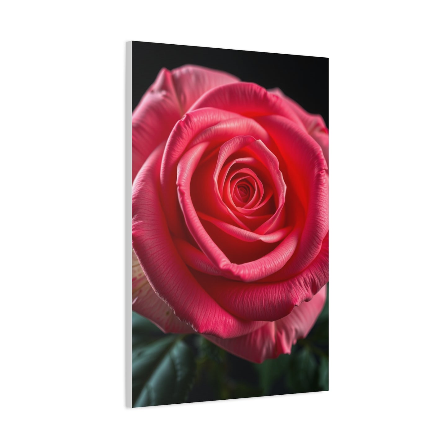 Supreme Rose Art Collection Wall Art & Canvas Print