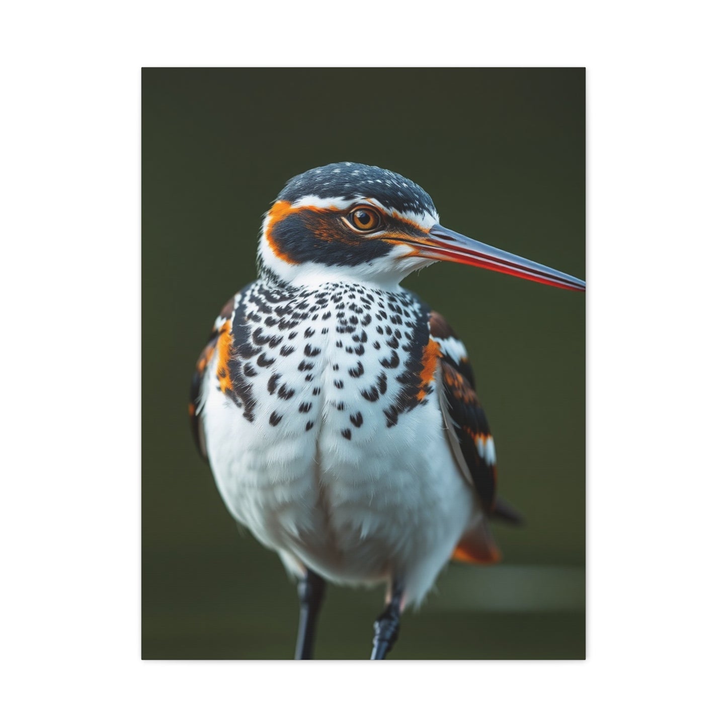 Collection Sandpiper Art Art Wall Art & Canvas Print