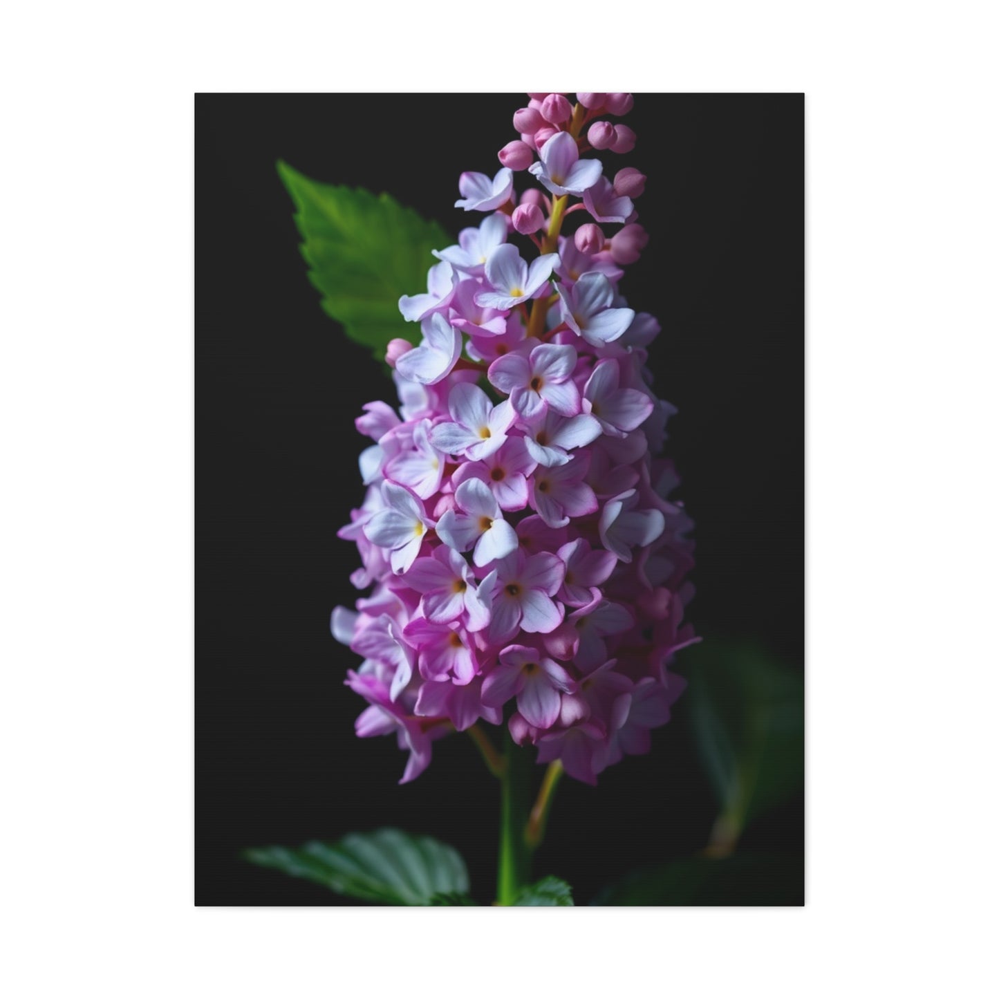 Supreme Lilac Flower Art Collection Wall Art & Canvas Print