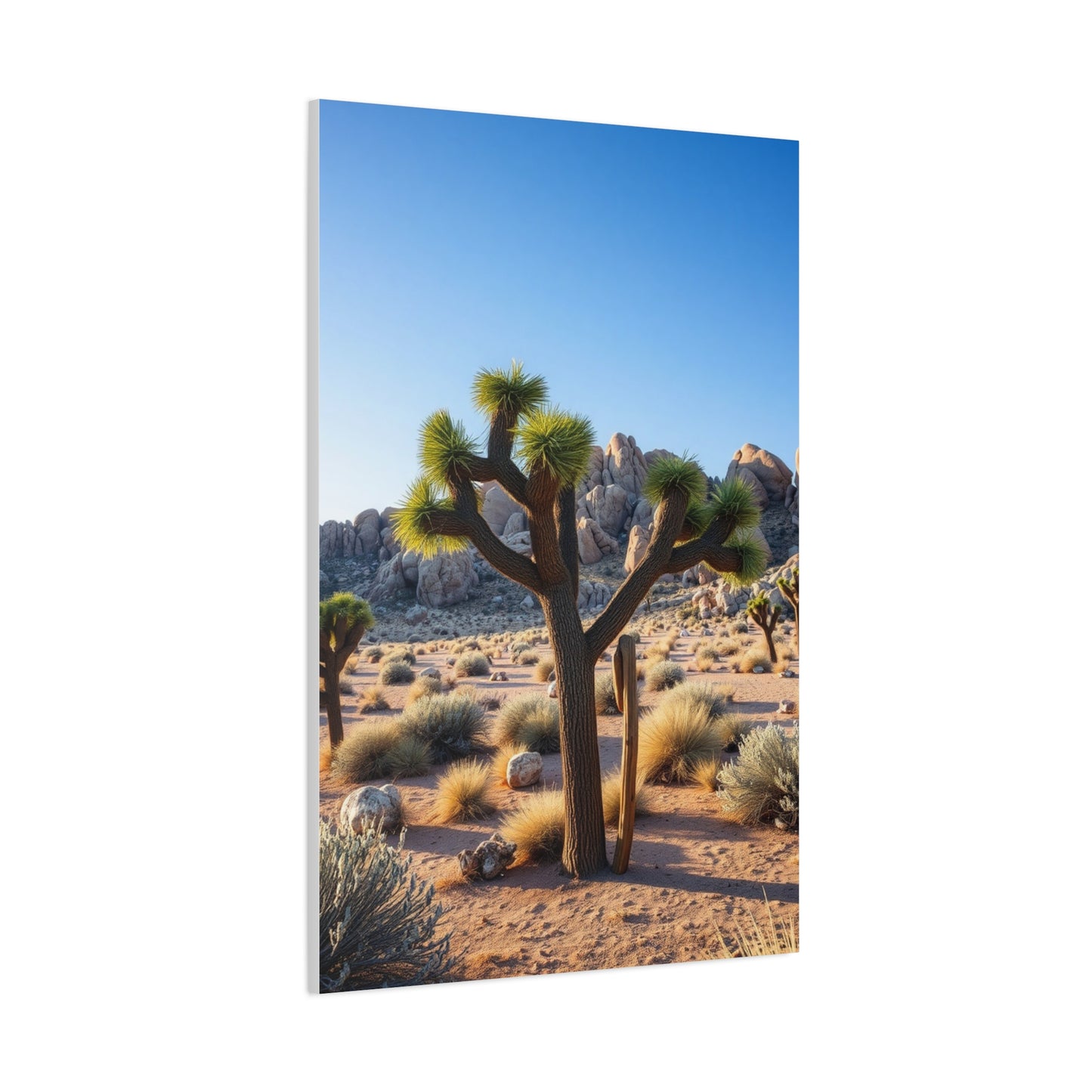 Masterpiece Joshua Tree National Park Art Vision Wall Art & Canvas Print