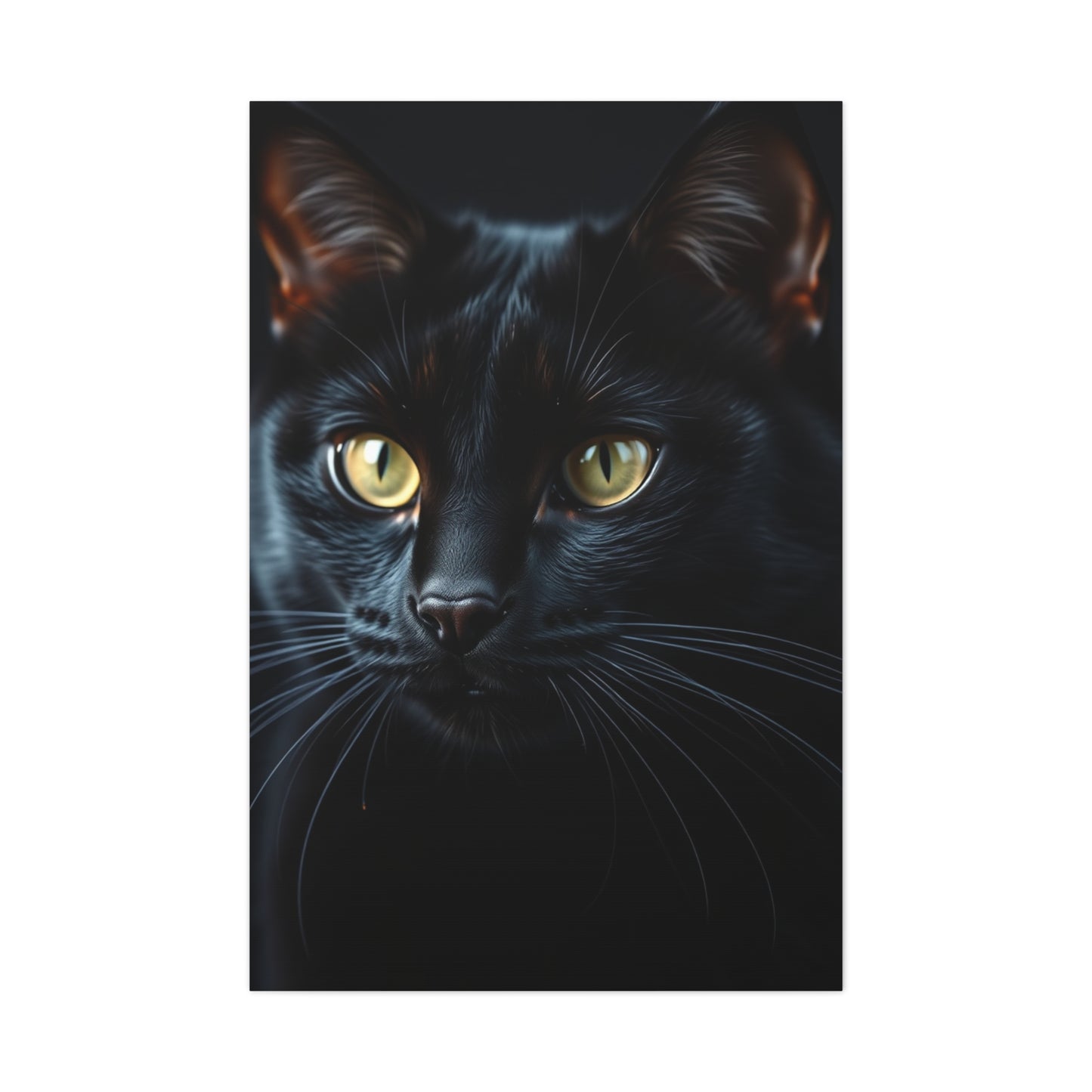 Elite Black Cat Art Vision Wall Art & Canvas Print